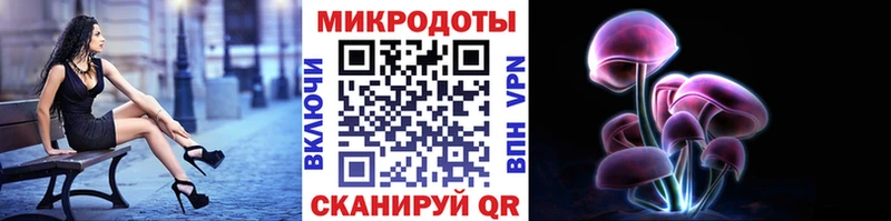 Купить закладки  Каспийск  Галлюциногенные грибы Cubensis 
